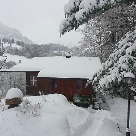 Tannenboden Apartment Engelberg Bagian luar foto