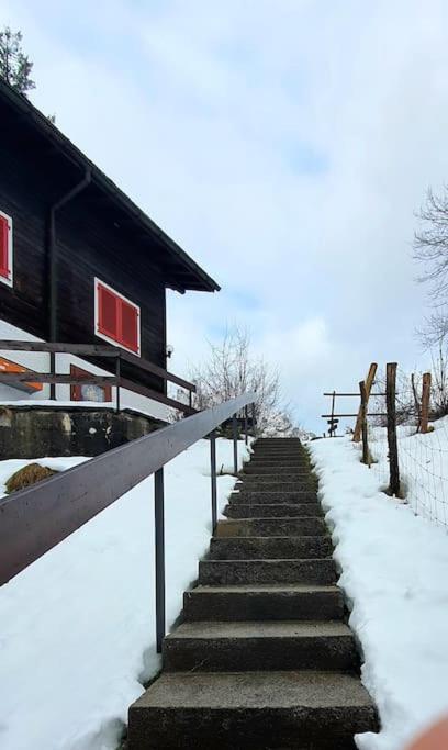 Tannenboden Apartment Engelberg Bagian luar foto