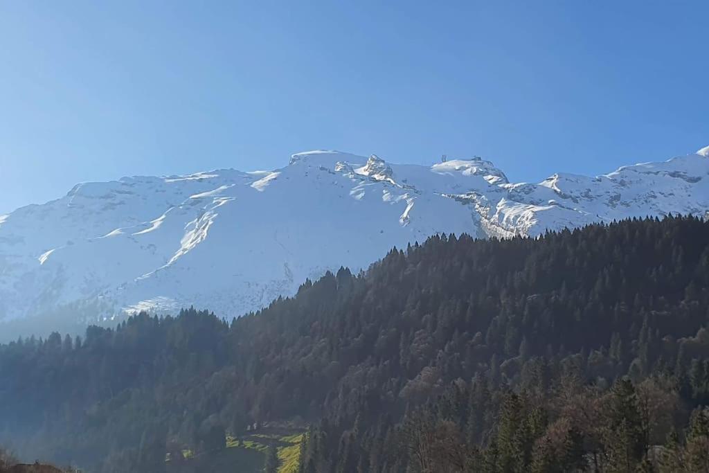 Tannenboden Apartment Engelberg Bagian luar foto