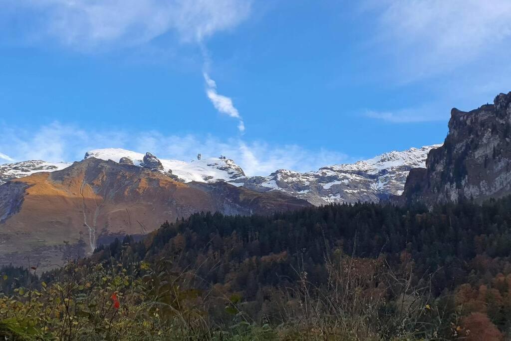 Tannenboden Apartment Engelberg Bagian luar foto