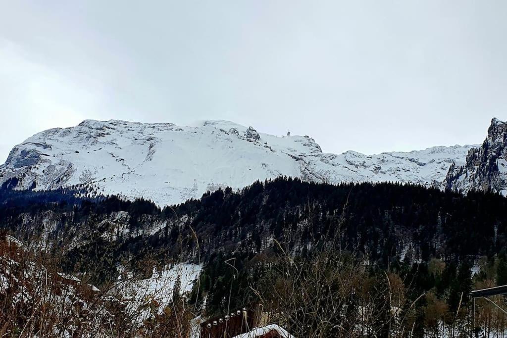 Tannenboden Apartment Engelberg Bagian luar foto