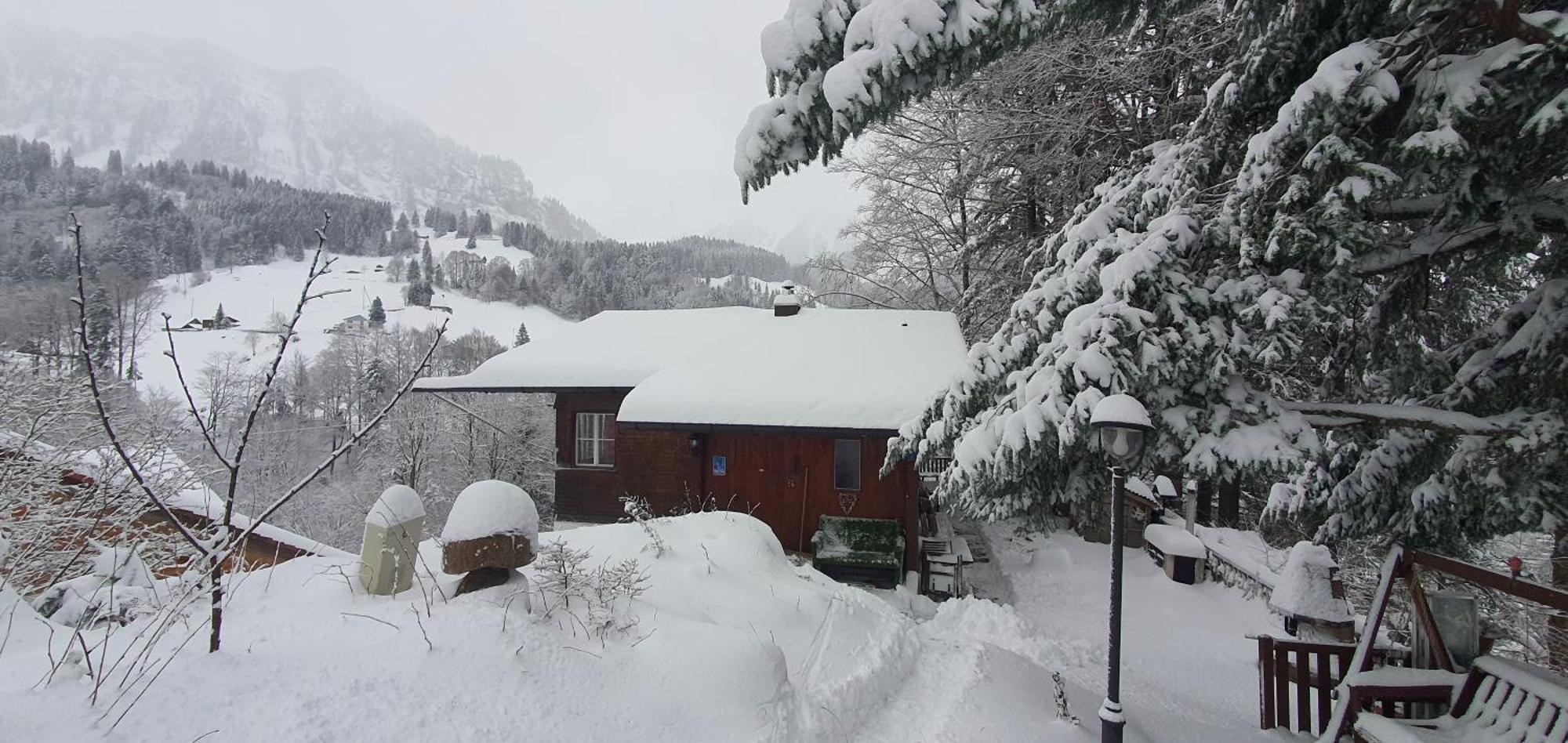 Tannenboden Apartment Engelberg Bagian luar foto